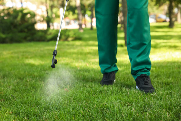 Professional Pest Control in Mission Bend, TX