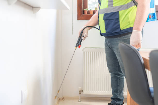 Best Local Pest Control Services  in Mission Bend, TX
