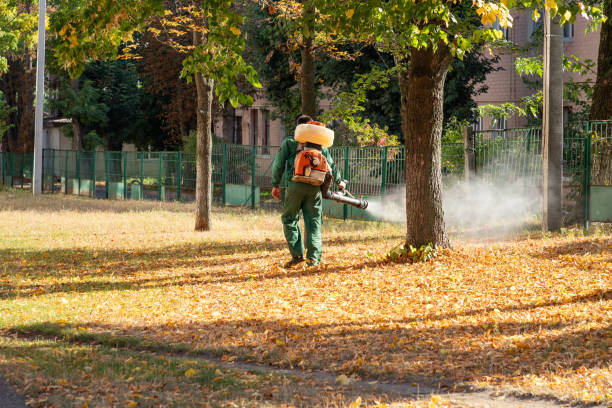 Best Wildlife Control Services  in Mission Bend, TX