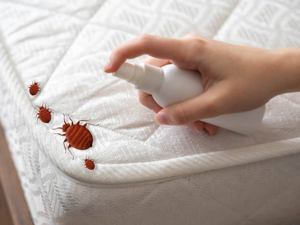 Best Best Pest Control Companies  in Mission Bend, TX